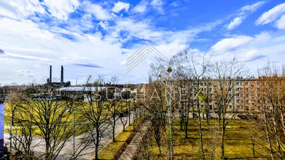 Suchanek Nieruchomości